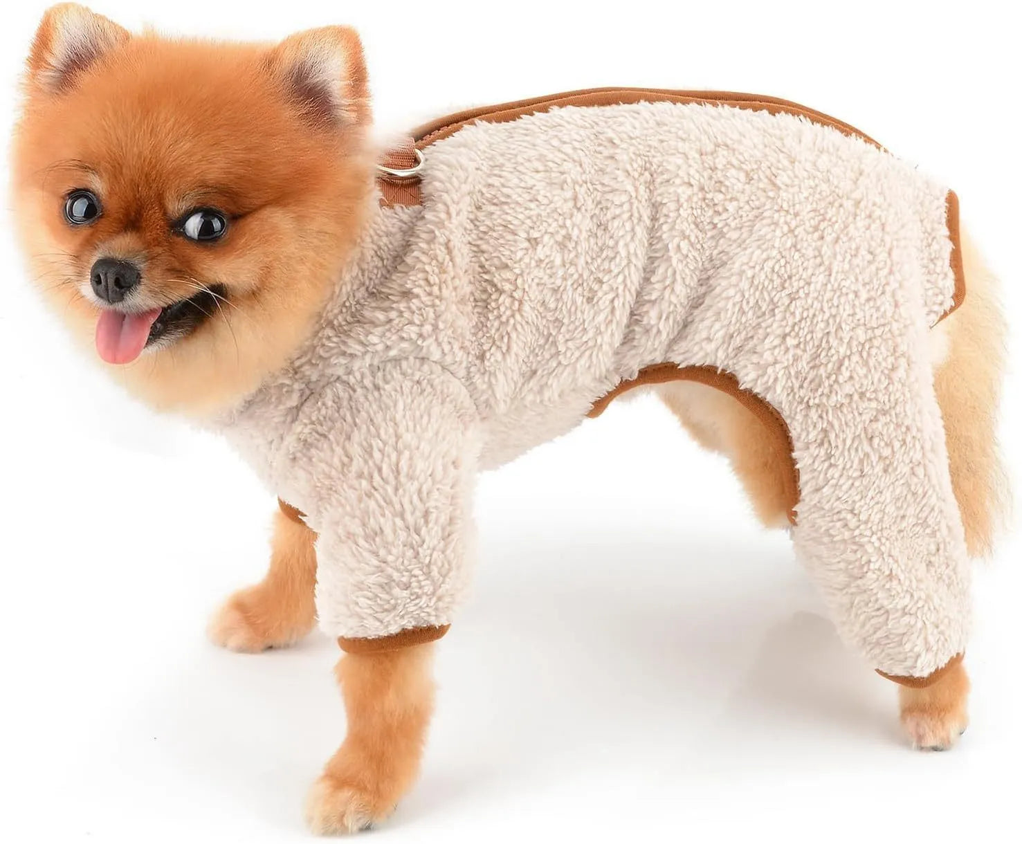 Small dog wearing green fleece coat with back zipper and D-rings, four-legged jumpsuit style