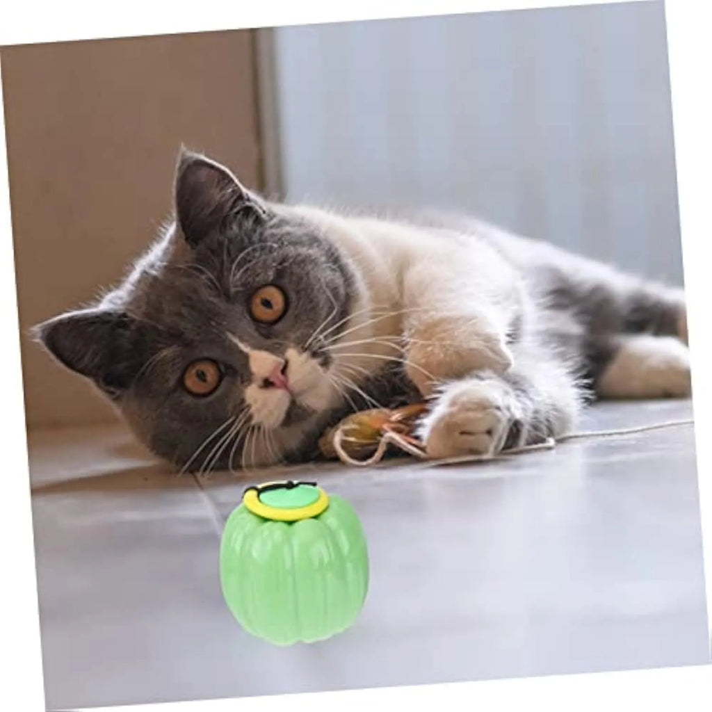 Green plastic pumpkin-shaped dog chew ball with squeaker for small dogs
