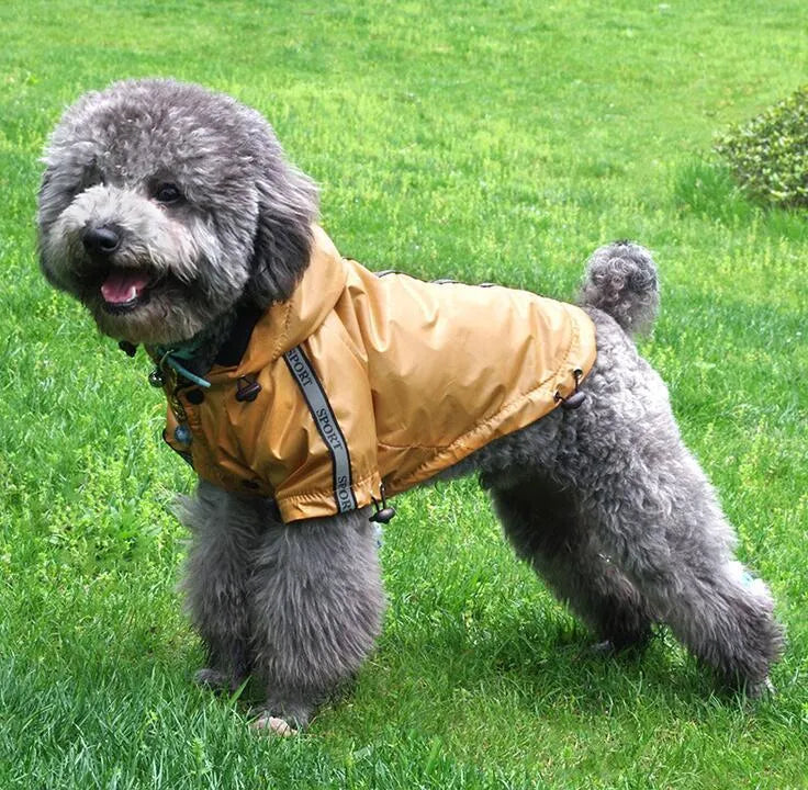 Waterproof hooded warm pet dog raincoat in yellow, blue, and red, cloth material, multiple sizes from XS to XXXL