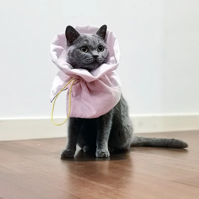 Soft adjustable light blue pet recovery collar with elastic buckle shown on a cat model.
