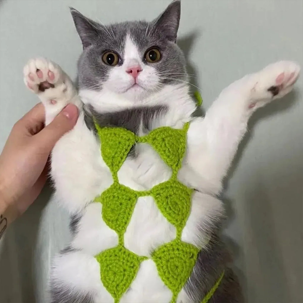 Sweet style cat bikini costume for Halloween and pet parties in various colours.