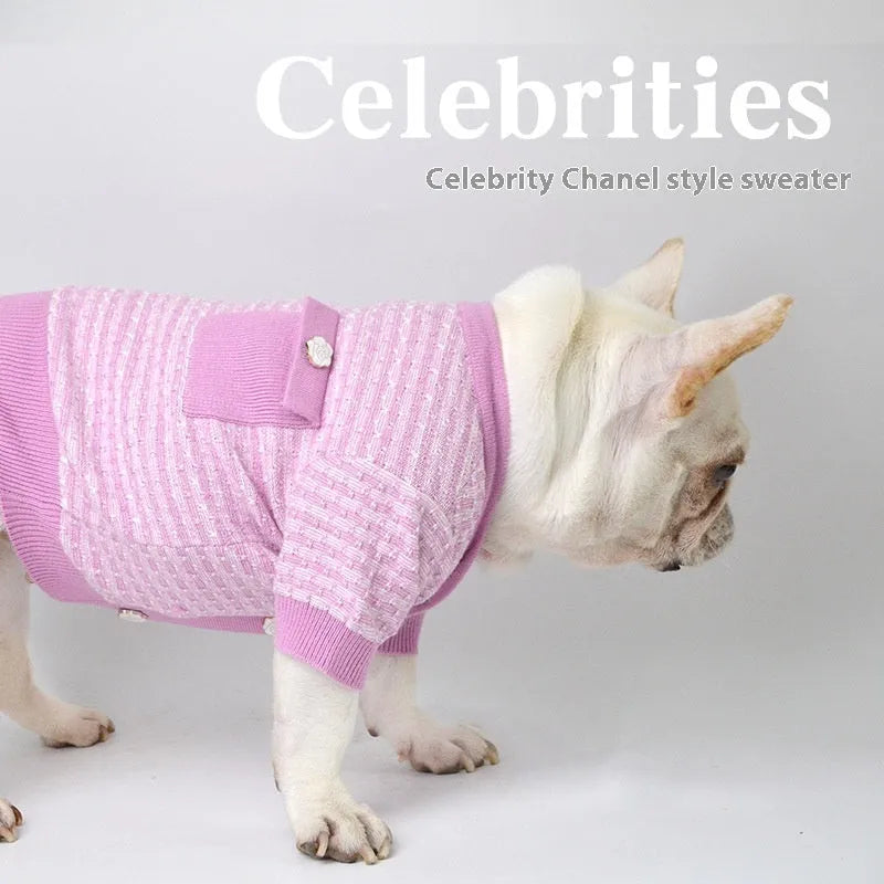 Classic style wool jumper for a Schnauzer dog in winter.