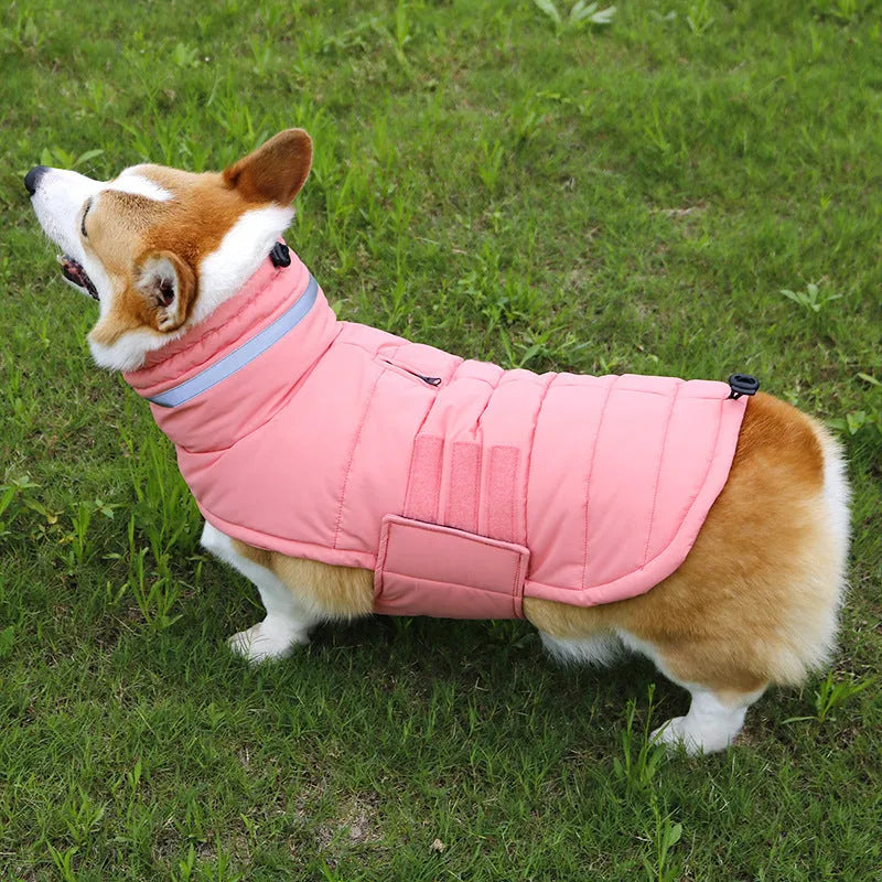 Dog trench coat cold-proof rain-proof in Gray Pink Red, sizes S XL, with bust and back length measurements