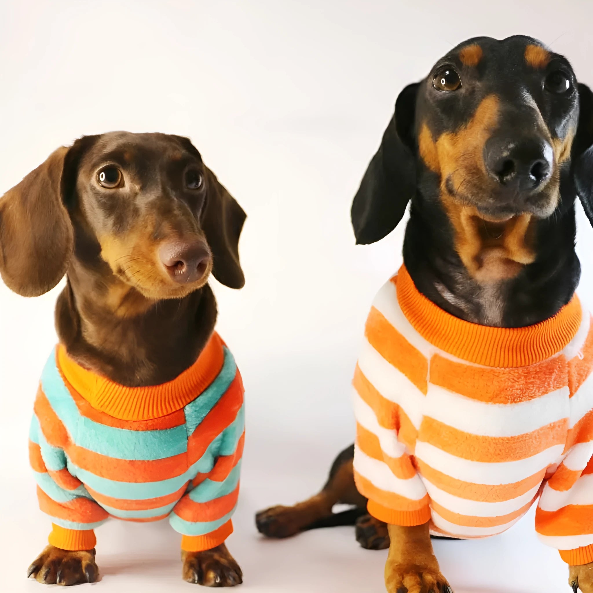 Striped orange and white pet sweatshirt for dogs and cats with round neck design