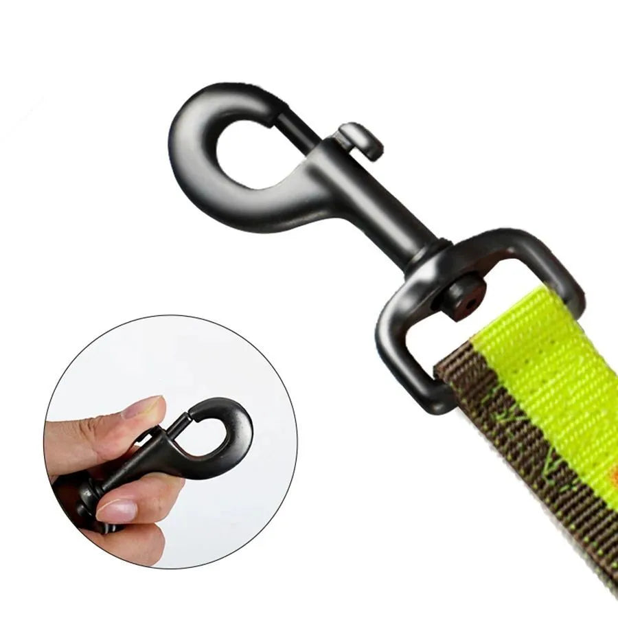 Green elastic dog training leash with metal clip for medium and large breed control