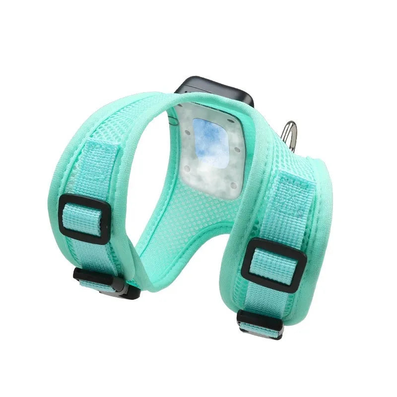 Mint green small dog cooling harness with LED light and leash on a white background