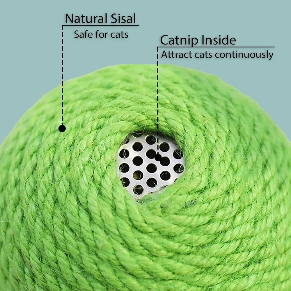 Green cactus-shaped cat scratcher ball with natural sisal scratching surfaces and integrated catnip toys