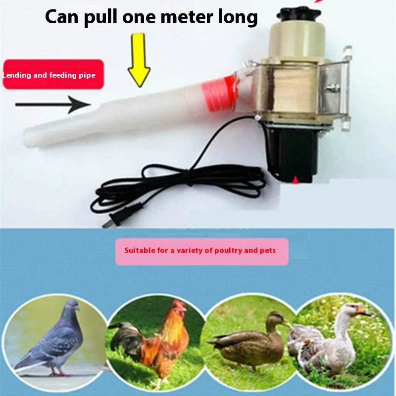 Solar panel automatic chicken and duck feeding machine with timer display and feed hopper