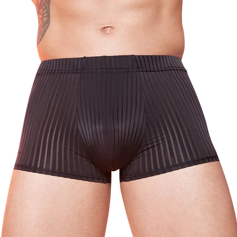 Men's striped underwear in thin transparent nylon fabric, shown in black, white, and dark grey colours.