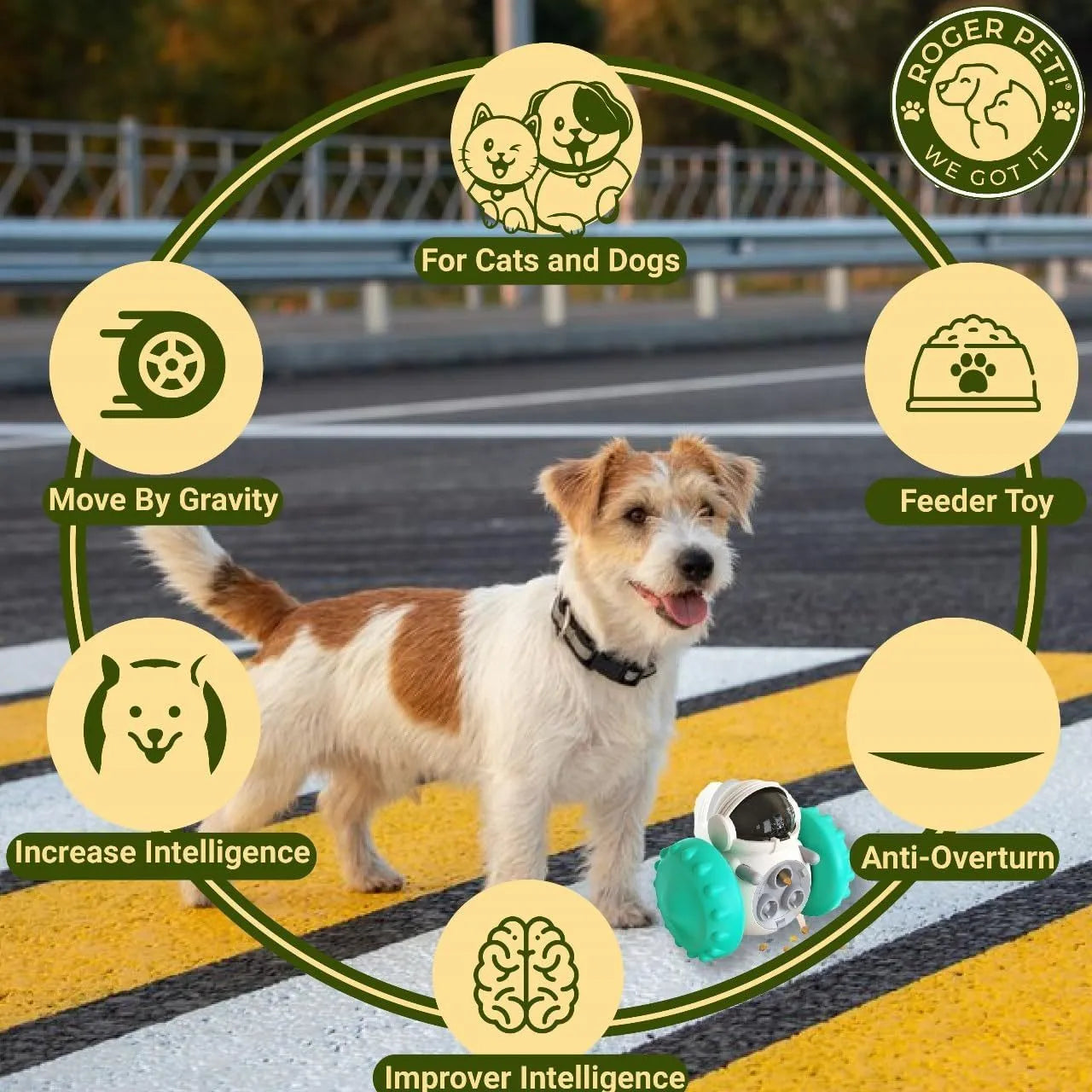 Self-balancing dog treat dispenser toy in five colours for small pets