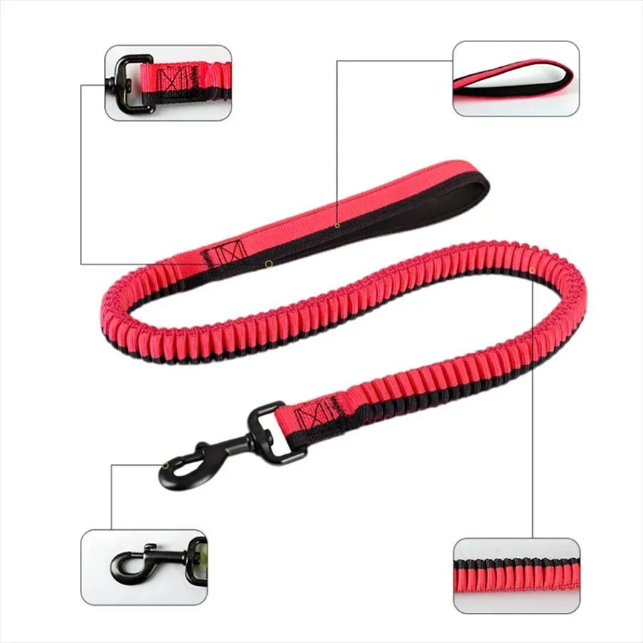 Green elastic dog training leash with metal clip for medium and large breed control