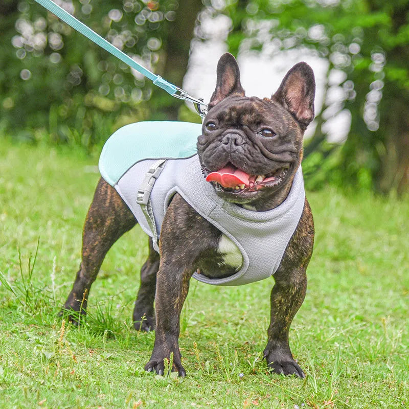 Pet cooling vest in blue, orange, green, or pink, breathable mesh and absorbent cotton, sizes S to 3XL.