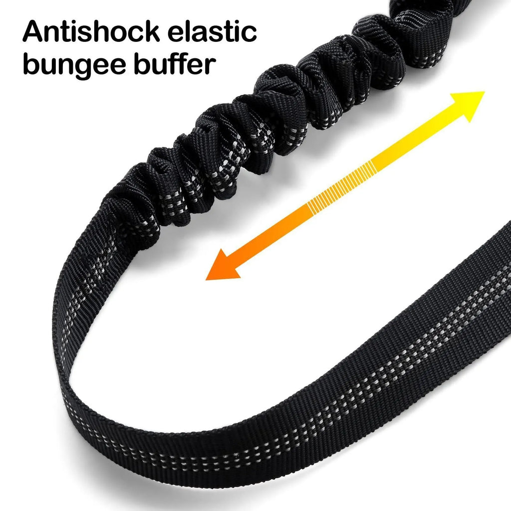 Nylon dog leash with a metal buckle in Army Green colour