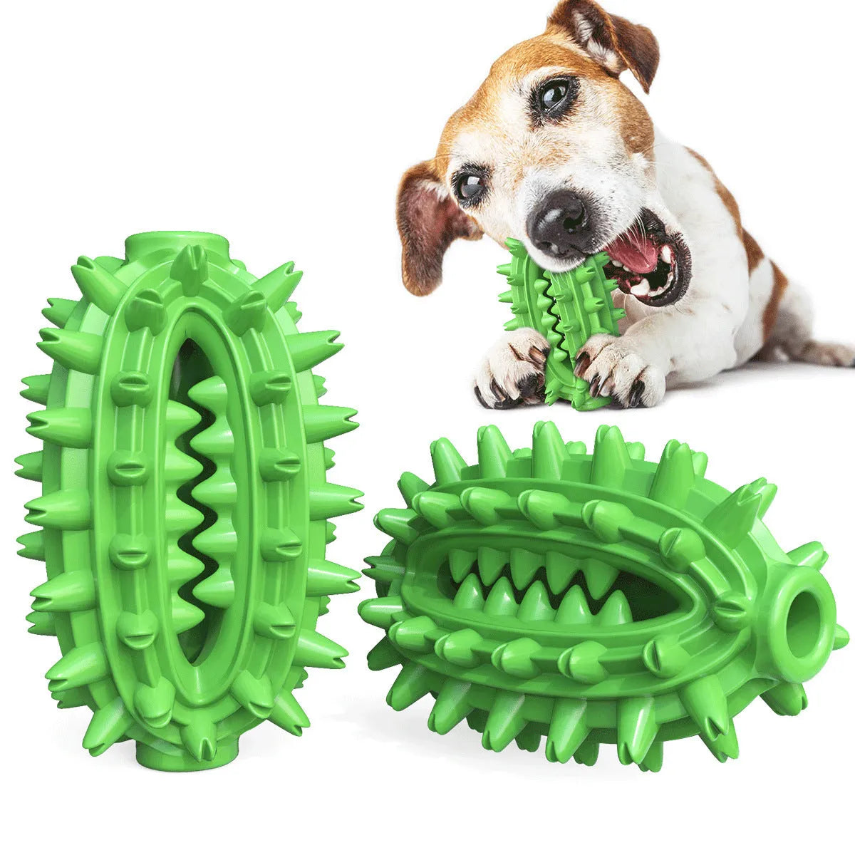 Green cactus-shaped dog toothbrush chew toy for dental care of medium to large breeds