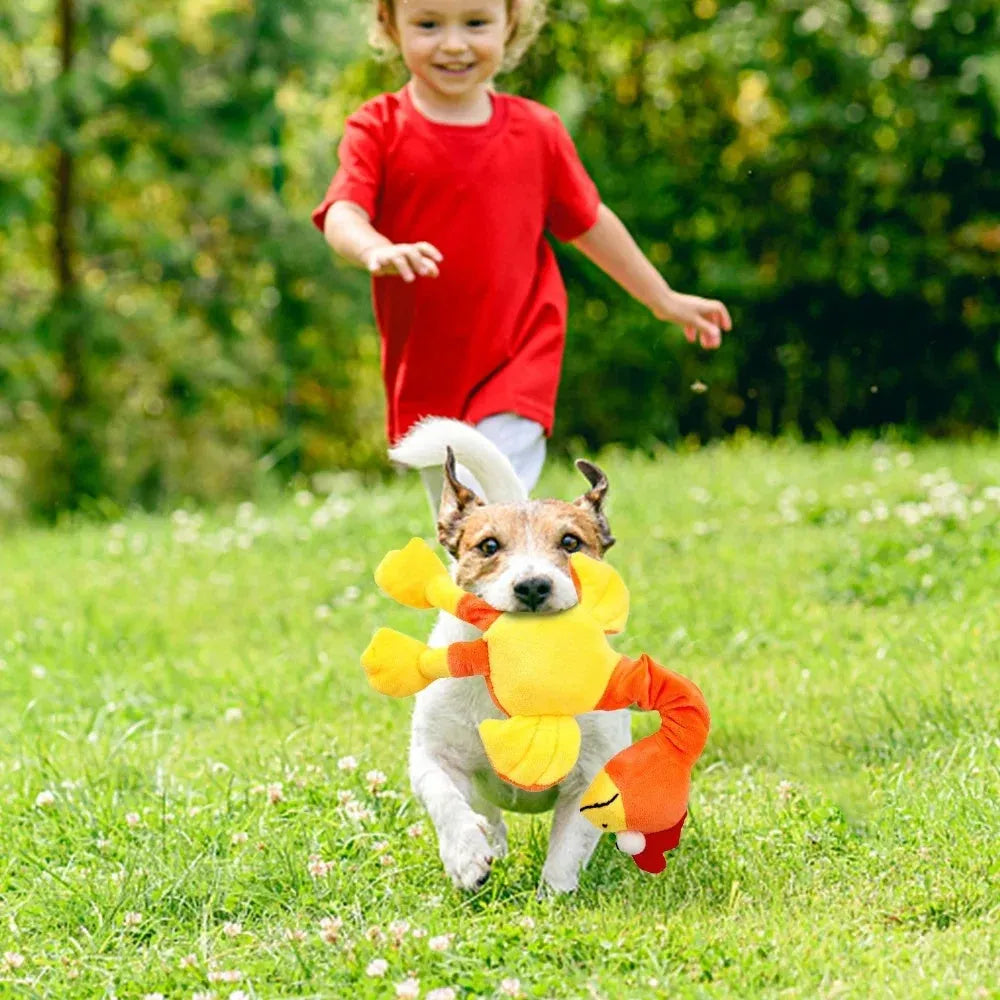 Latex rubber screaming chicken dog toy with squeaker in choice of black, green or orange.