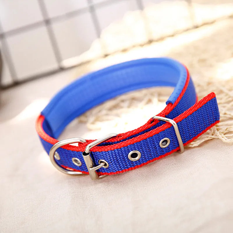 Nylon braid lined dog collar in blue with polypropylene PET foam padding, size 2.0x50cm