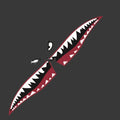 Large Shark design PVC car body sticker showing dimensions of 150cm by 51cm.