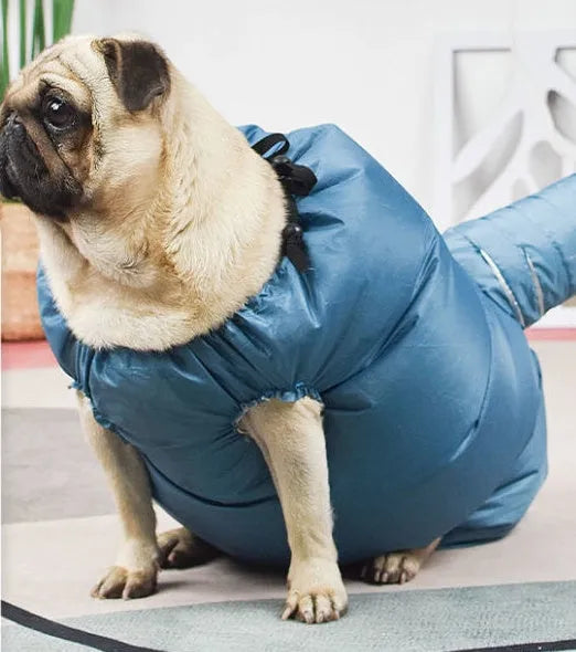 Blue automatic dog drying bag made from high-density Oxford cloth with silver-plated film lining, suitable for small to large dogs