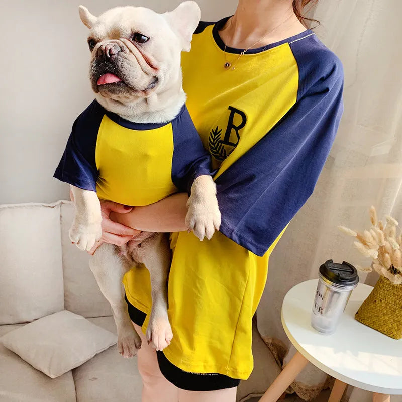 Dog wearing a short sleeve casual top in double yarn stretch Odell fabric, colour Blue