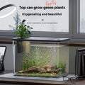 Black and white mini betta fish tank with clear plastic lid, dimensions 32cm wide by 23cm tall.
