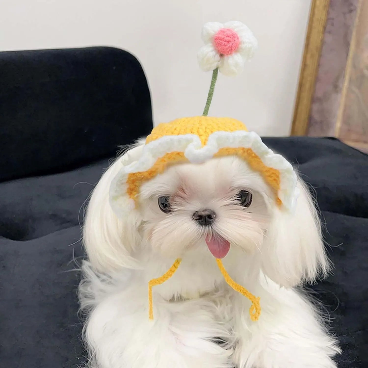 Green pink yellow knitted cat dog hat with cartoon design for parties