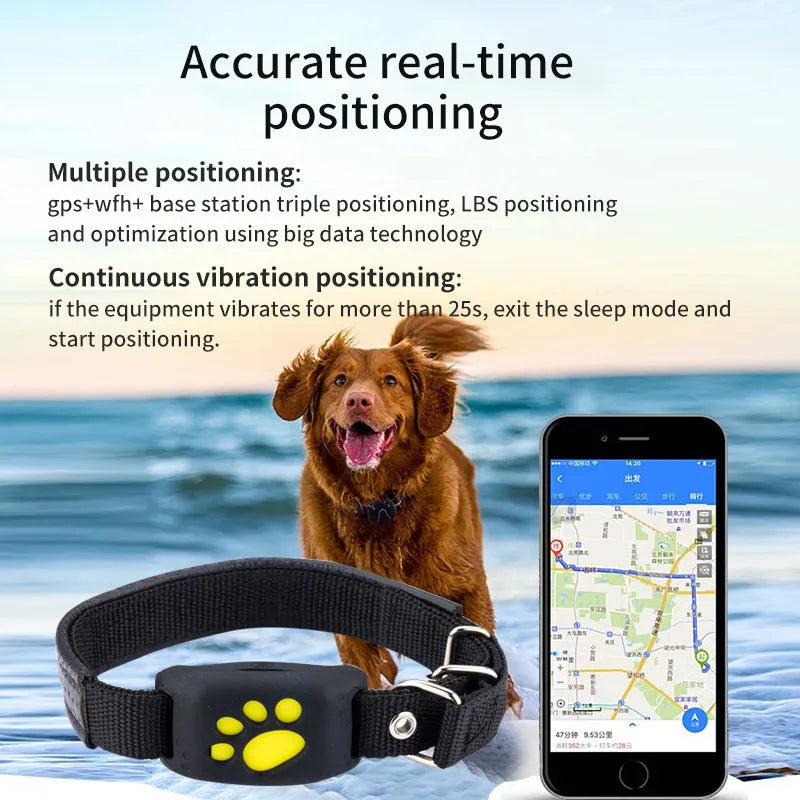Compact black and yellow waterproof GPS pet tracker device with dimensions 65.5mm by 37mm.