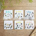Set of six square bird pun coasters with different bird chart illustrations on white background