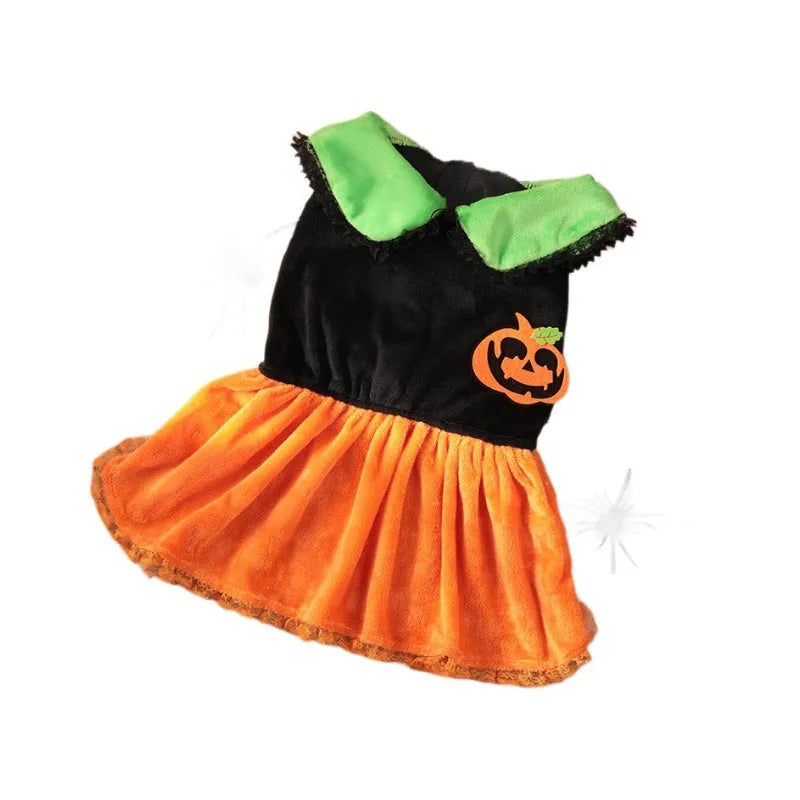 Halloween pumpkin skirt pet costume on small dog with crystal velvet material