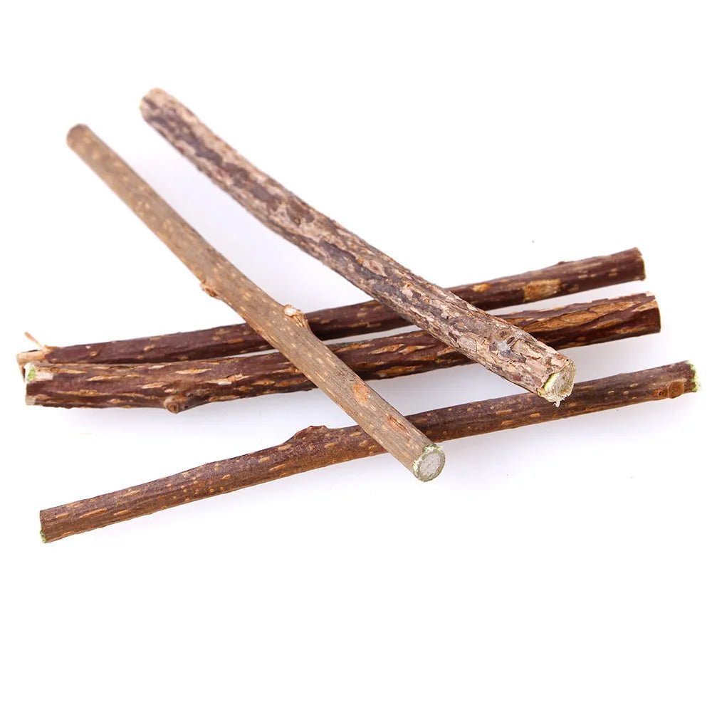 Pet Cat Molar Rod dental chew sticks for adult cats, 15g each, molar rod flavour, pack of 5