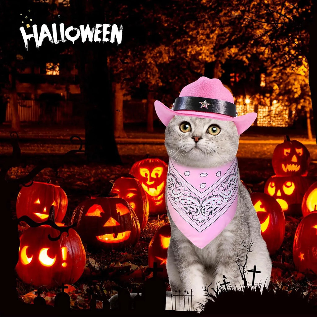 Cat wearing cowboy hat and bandana costume set for Halloween