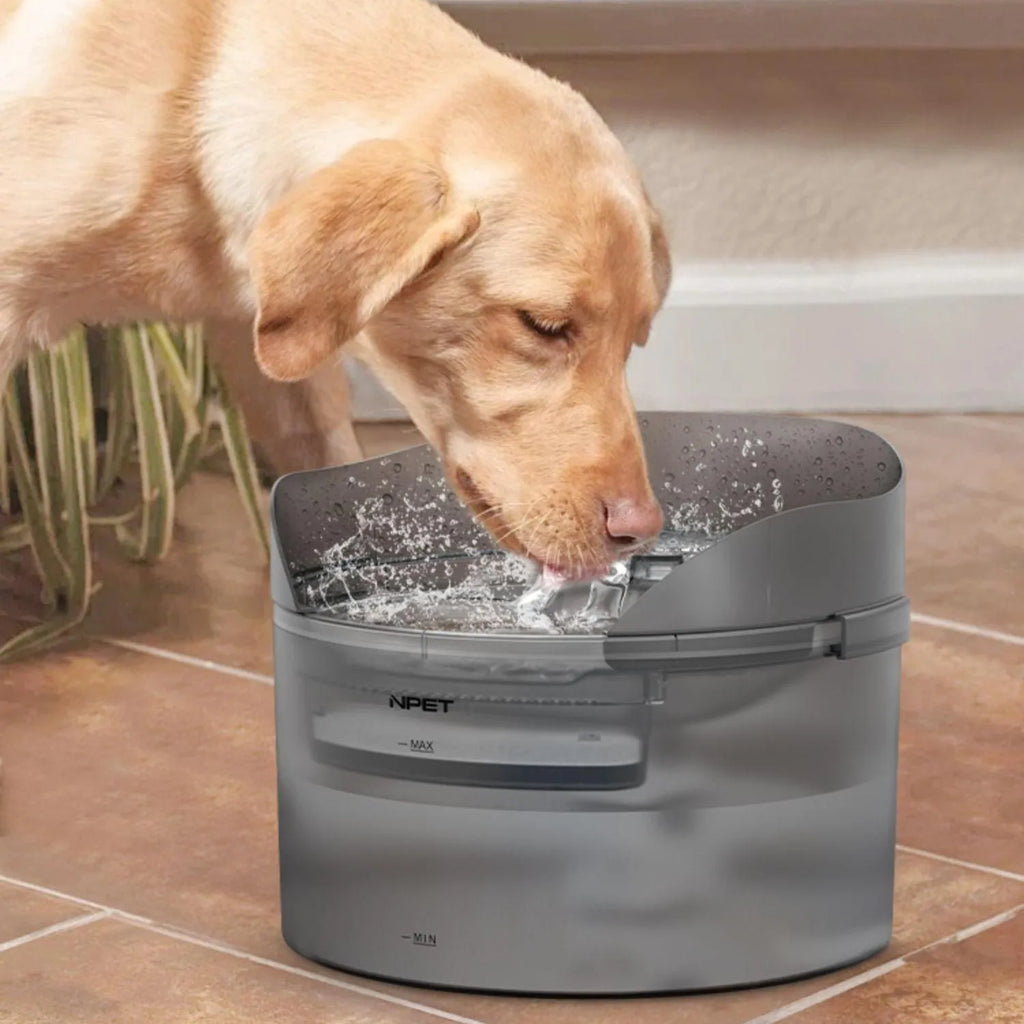 Automatic circulating water dispenser for dogs and cats with filter cartridge.