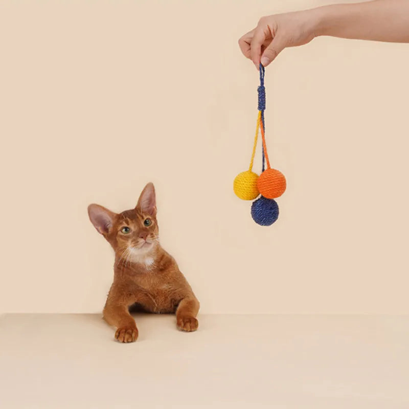 Cat toy set showing teaser wand with catnip ball attachment in multiple colour options