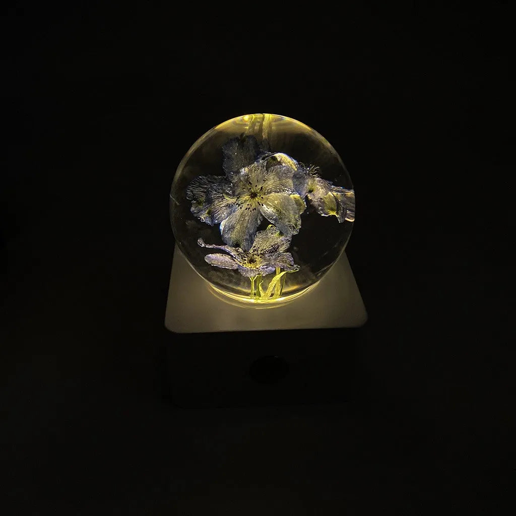 Small 8cm USB night light with a preserved dandelion and sunflower specimen inside, on a desktop.