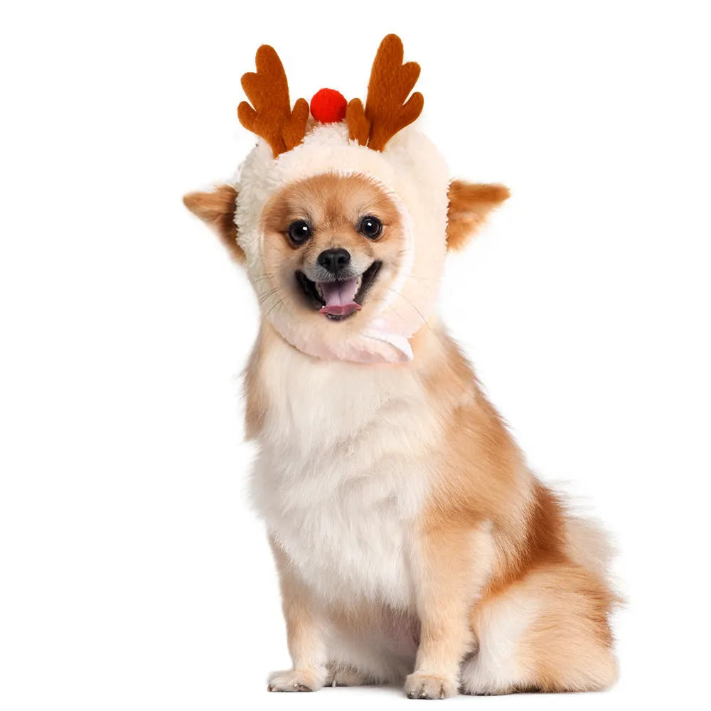 Christmas pet costume with velvet hat and bib in red, green, and white antler options, sizes S and M