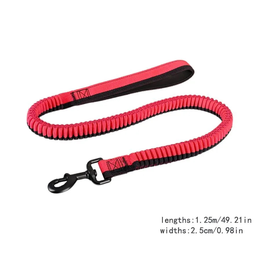 Green elastic dog training leash with metal clip for medium and large breed control