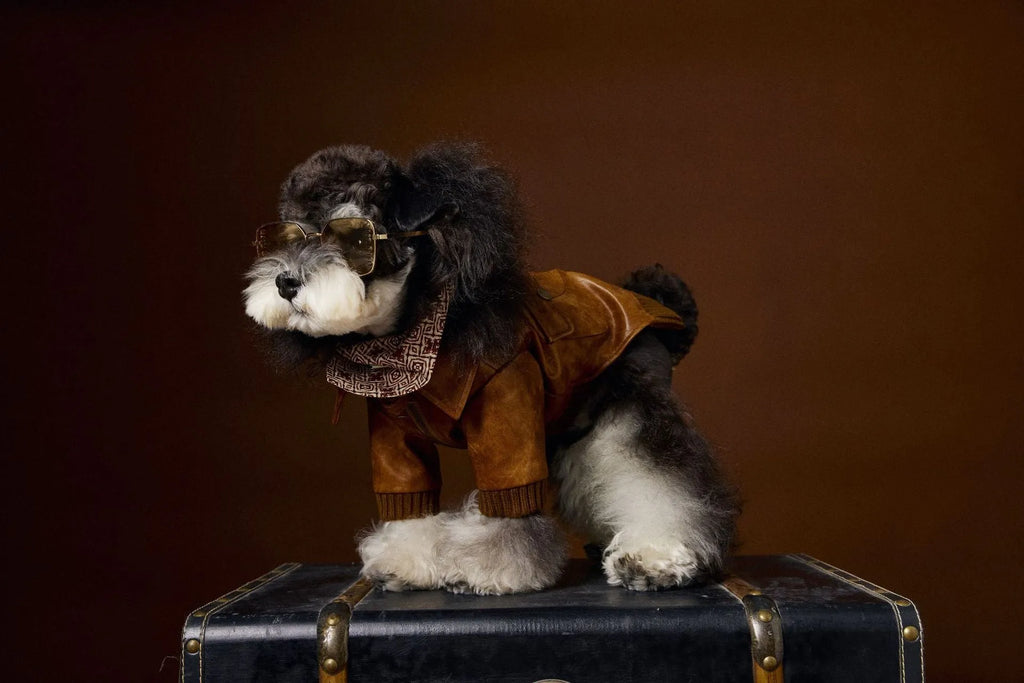 Brown PU pet leather coat with long sleeves and two-feet design for Schnauzers and Bichons, sizes XS to XXL