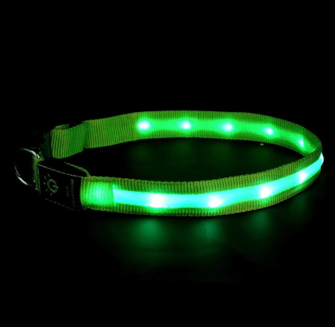 LED pet collar waterproof IPX7 USB rechargeable with red dual fibre light on a dog