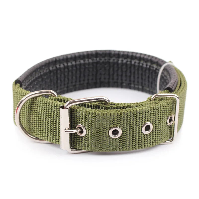Nylon braid lined dog collar in blue with polypropylene PET foam padding, size 2.0x50cm