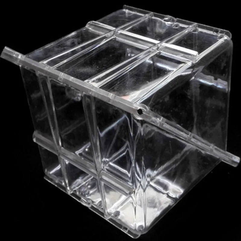 Square plastic growth mould for shaping watermelons into 13cm cubes