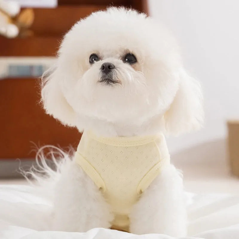 Pet shirt in soft yellow mesh fabric with cat patches and button closure on white background