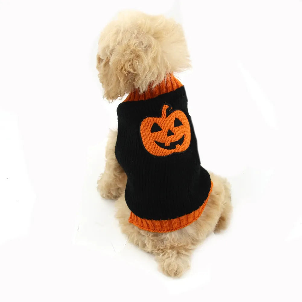 Orange black pumpkin knitted dog sweater on a small breed dog with a Halloween theme and visible knit texture