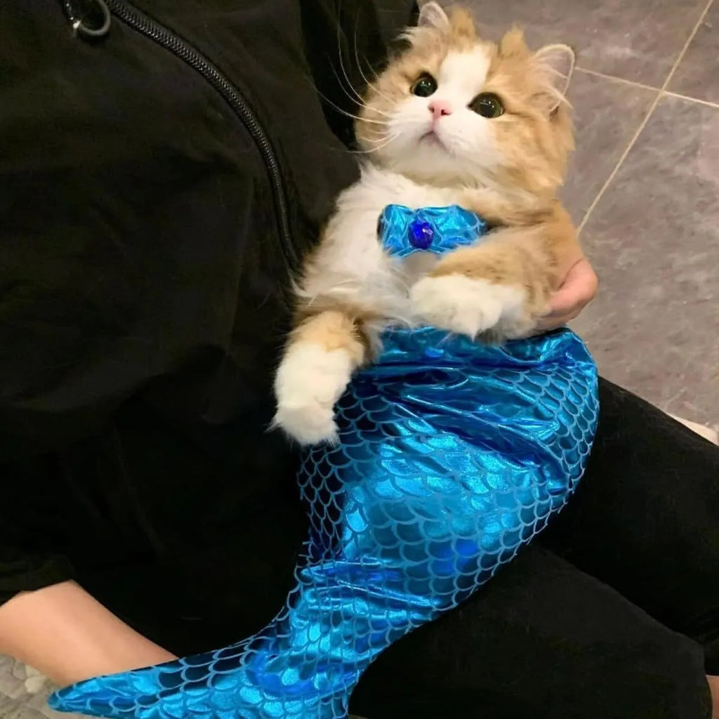Blue mermaid tail costume with elastic chest strap on a cat, showing colourful scales and fish tail design.