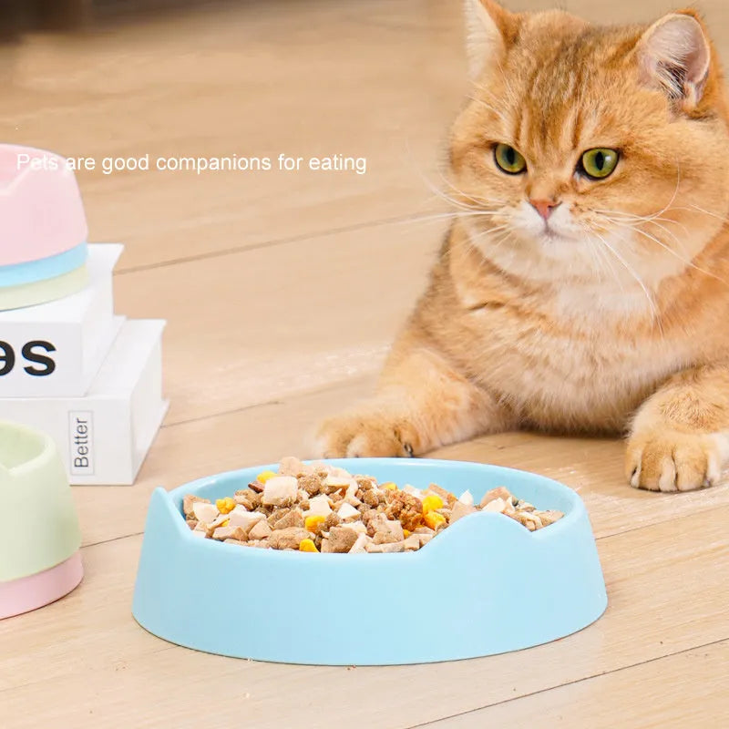 Blue ceramic dog slow feeder bowl with maze pattern for fast eaters
