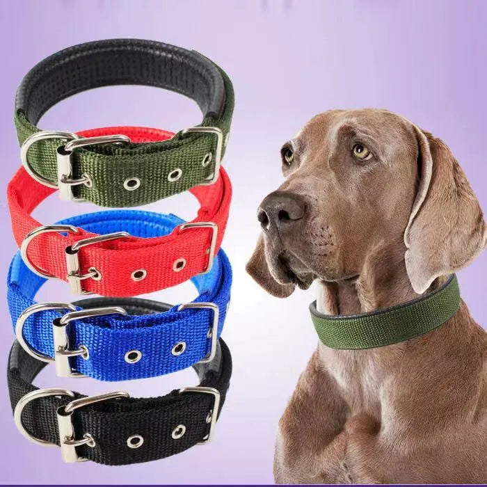 Nylon dog collar for small and medium dogs, adjustable S to XXL, in blue colour with metal buckle