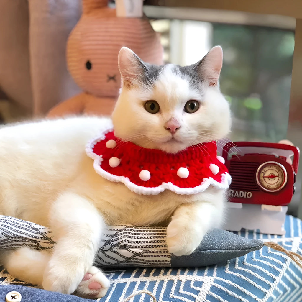 Knitted pet collar in milk cotton with a cartoon pattern, shown in multiple sizes.