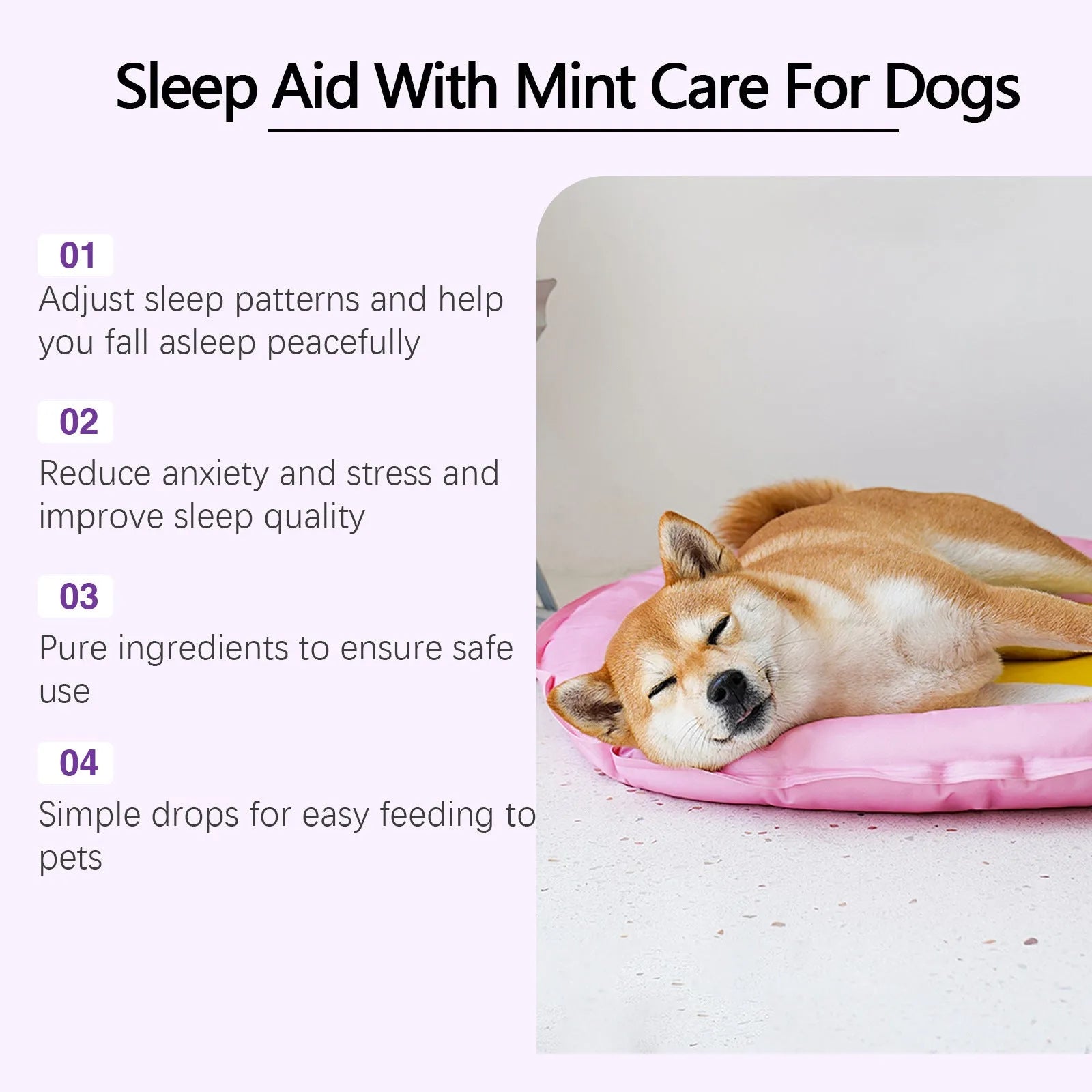 60ml bottle of dog sleep drops liquid supplement with mint extract for veterinary care