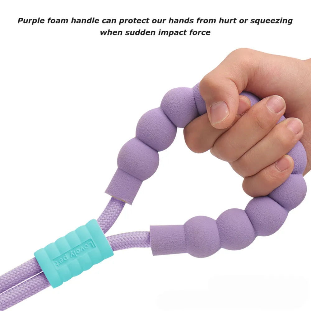 Nylon dog lead with foam handle showing black, light purple, sky blue and yellow colour options