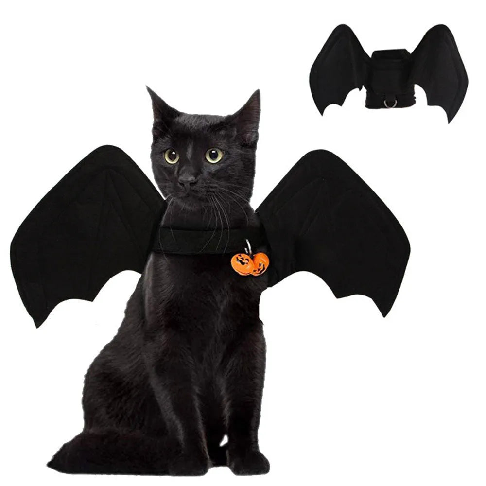 Black cloth bat wing pet costume on a dog or cat with 3D foldable wings and bat bell