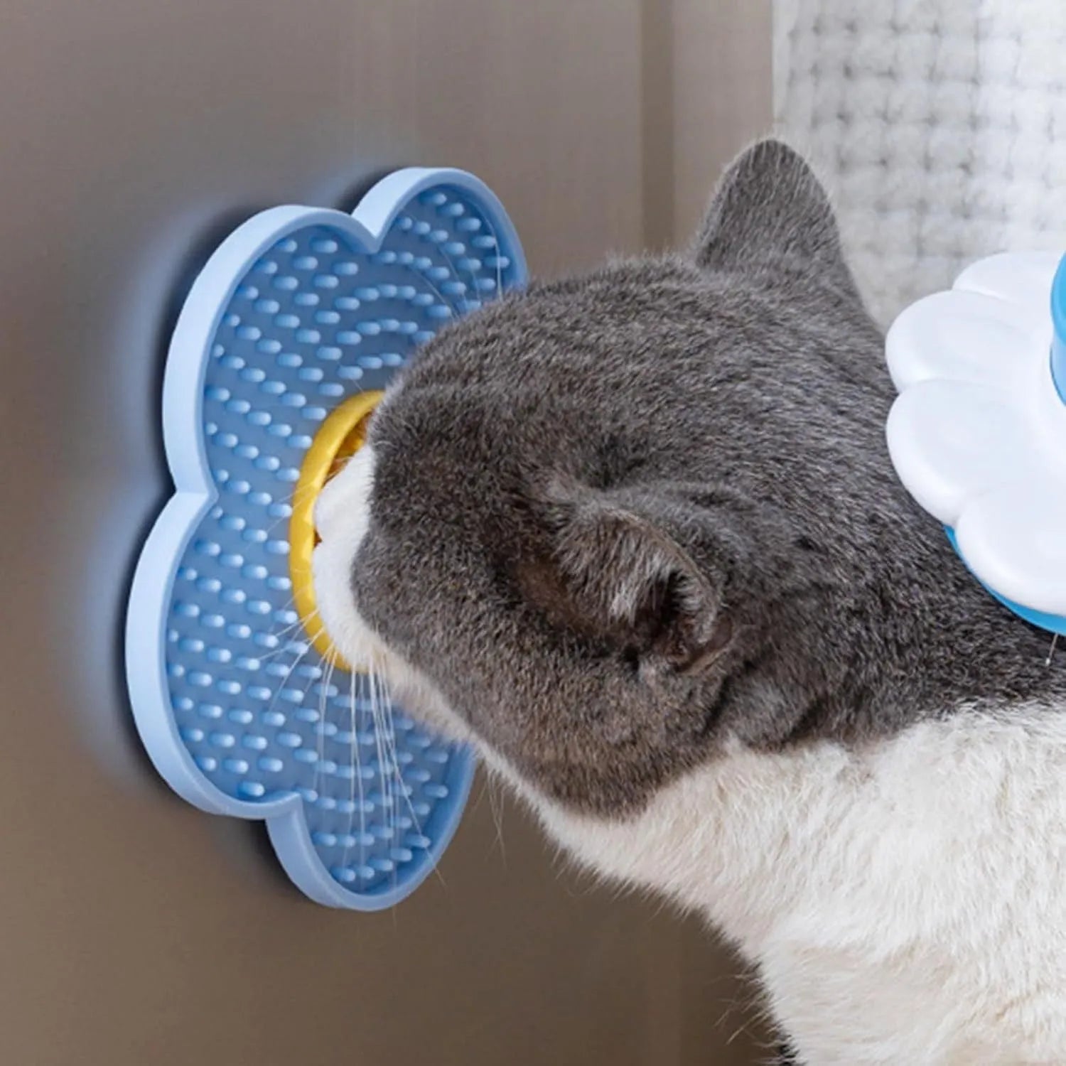 Flower-shaped silicone pet lick mat with suction cups on a smooth surface in assorted colours.