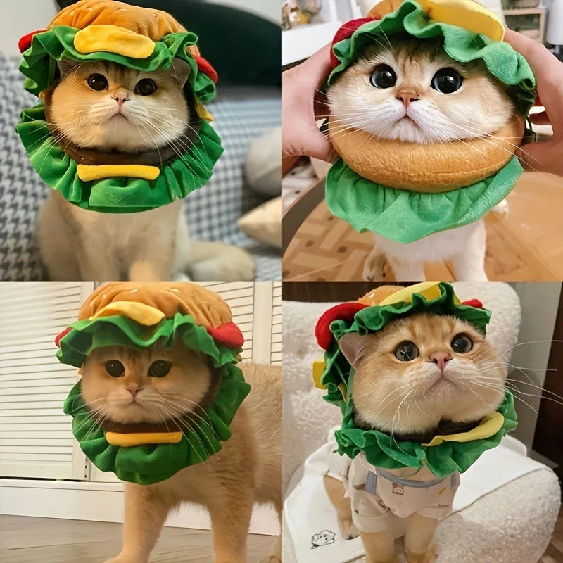 A cat wearing a soft hamburger-shaped headdress collar as an alternative to a plastic cone.